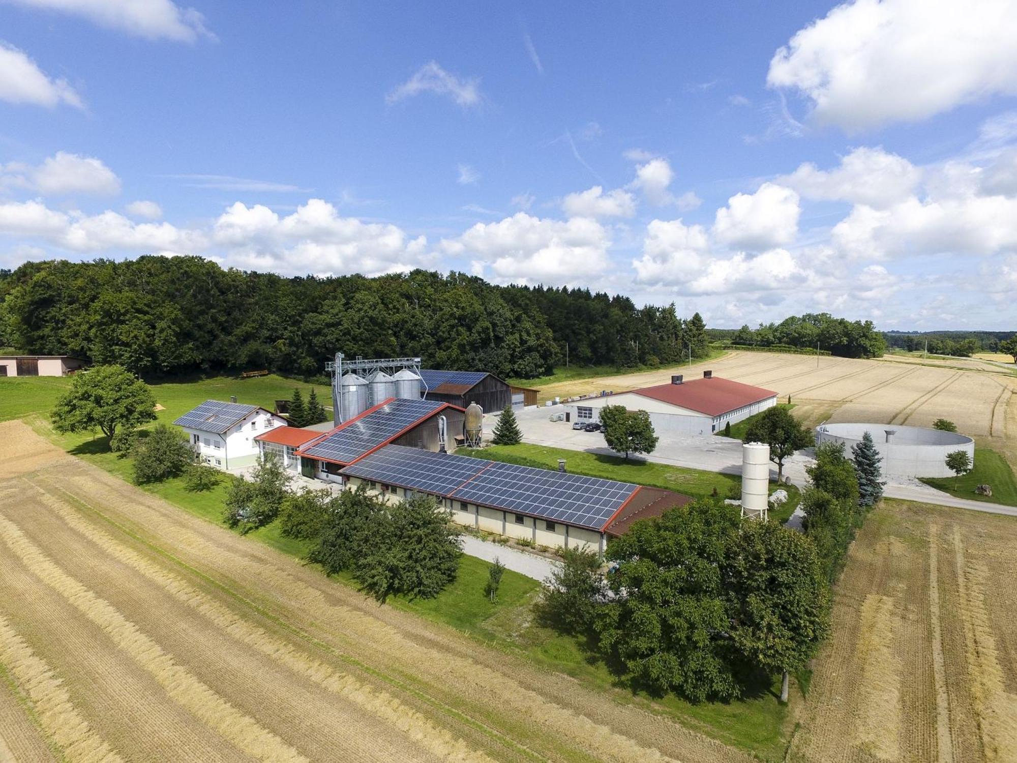 Hof Am Horn - Fewos In Der Natur Laichingen Eksteriør bilde